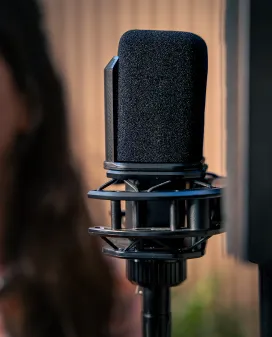 Close-up of a studio condenser microphone in a shock mount